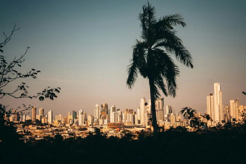 Panama City skyline in warm evening light behind palm trees
